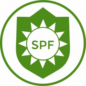 spf-sun-protection